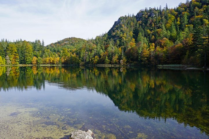Eibensee im herbstlich gefärbten Wald.
